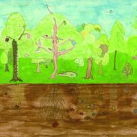 美育文化協会賞 「inside a head」 瀧田 寿々奈 小6年 大阪府