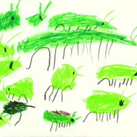 美育文化協会賞 「たくさんのバッタをつかまえたよ」 齊藤 凰利 5歳 滋賀県